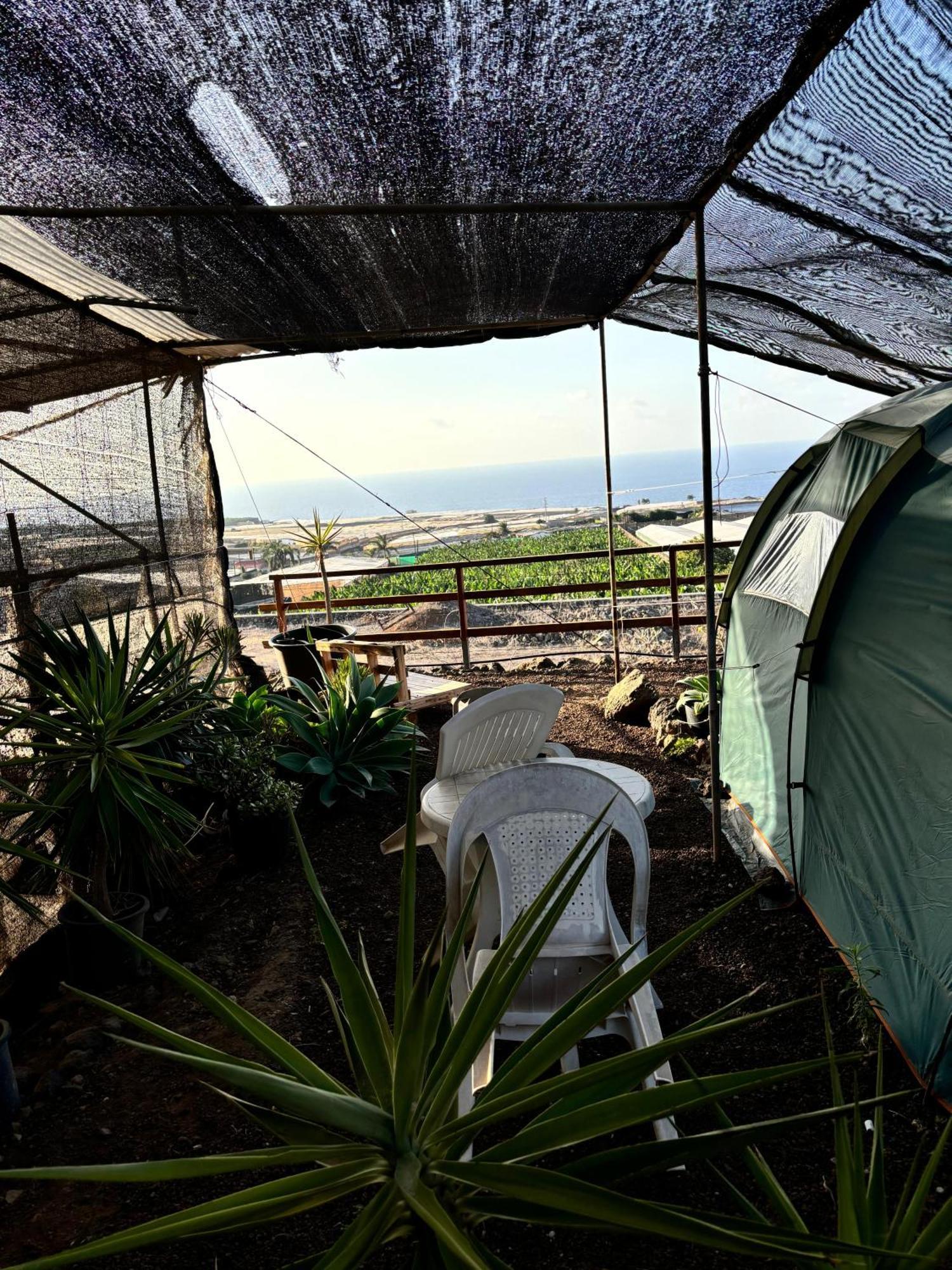 Camping Invernaderito Tejina ภายนอก รูปภาพ