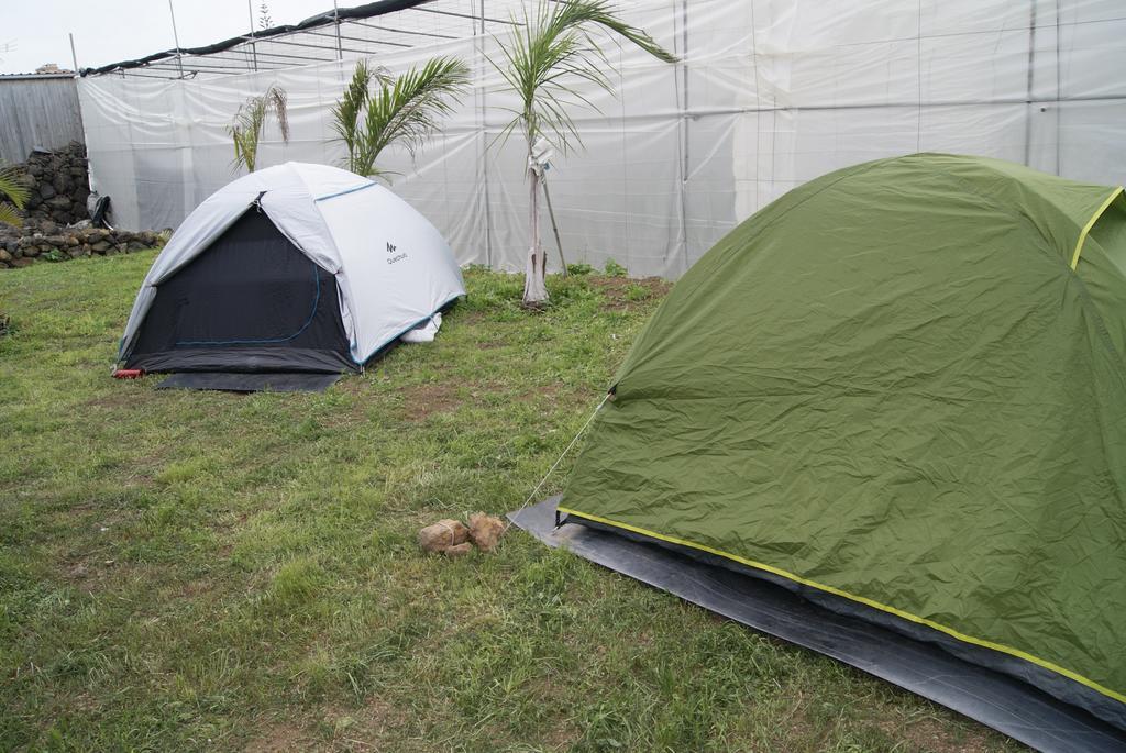 Camping Invernaderito Tejina ภายนอก รูปภาพ